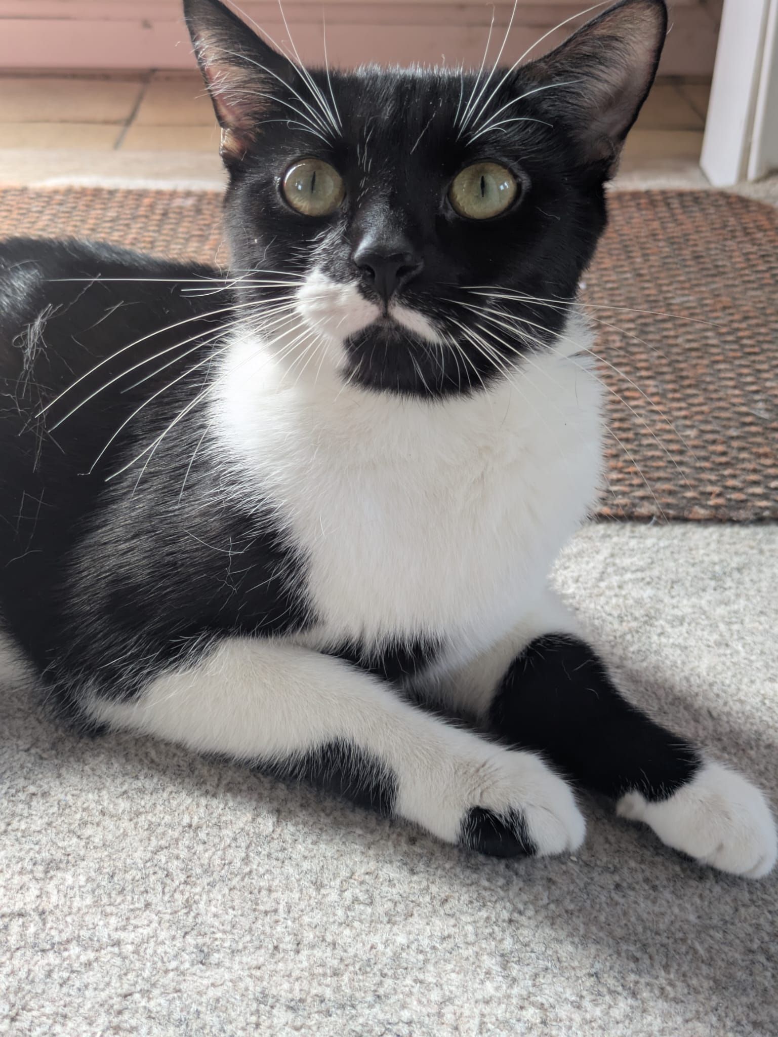 Mittens
